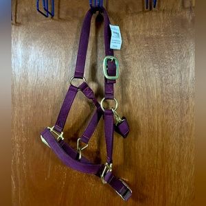 Horse sized Halter